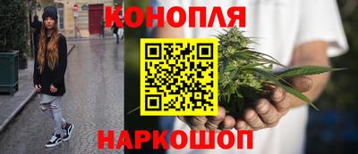 крисы Тверь
