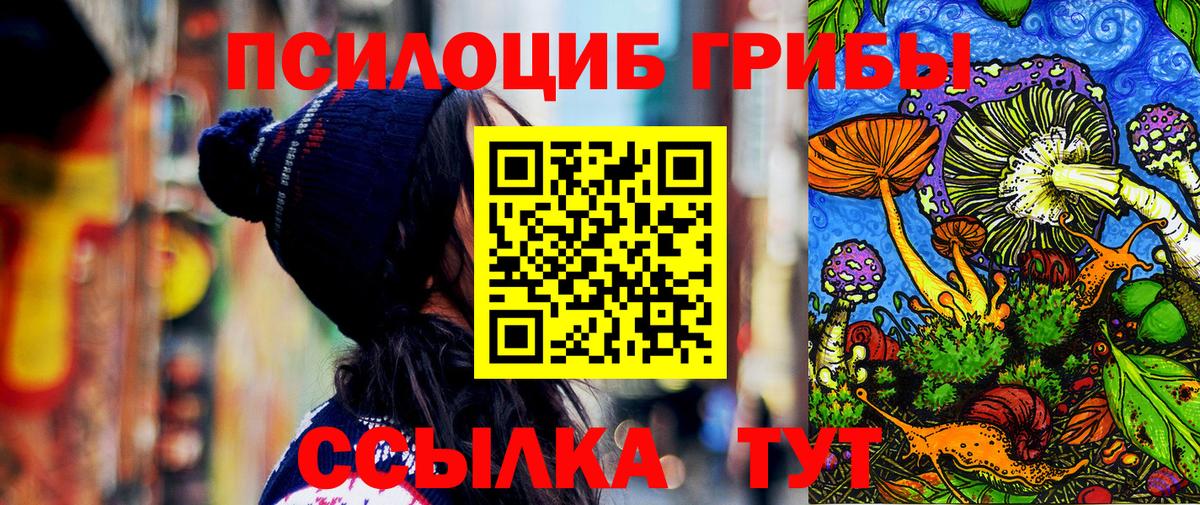 Галлюциногенные грибы Psilocybe  наркошоп  Набережные Челны  Вход с VPN 